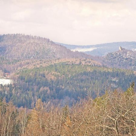 Willa "Sniezna Kopa"-Agroturystyka Pro Zdrowotna Vila Sosnówka Exterior foto