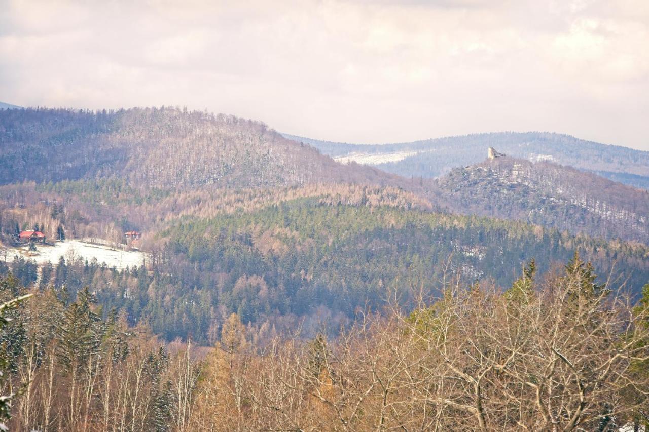 Willa "Sniezna Kopa"-Agroturystyka Pro Zdrowotna Vila Sosnówka Exterior foto