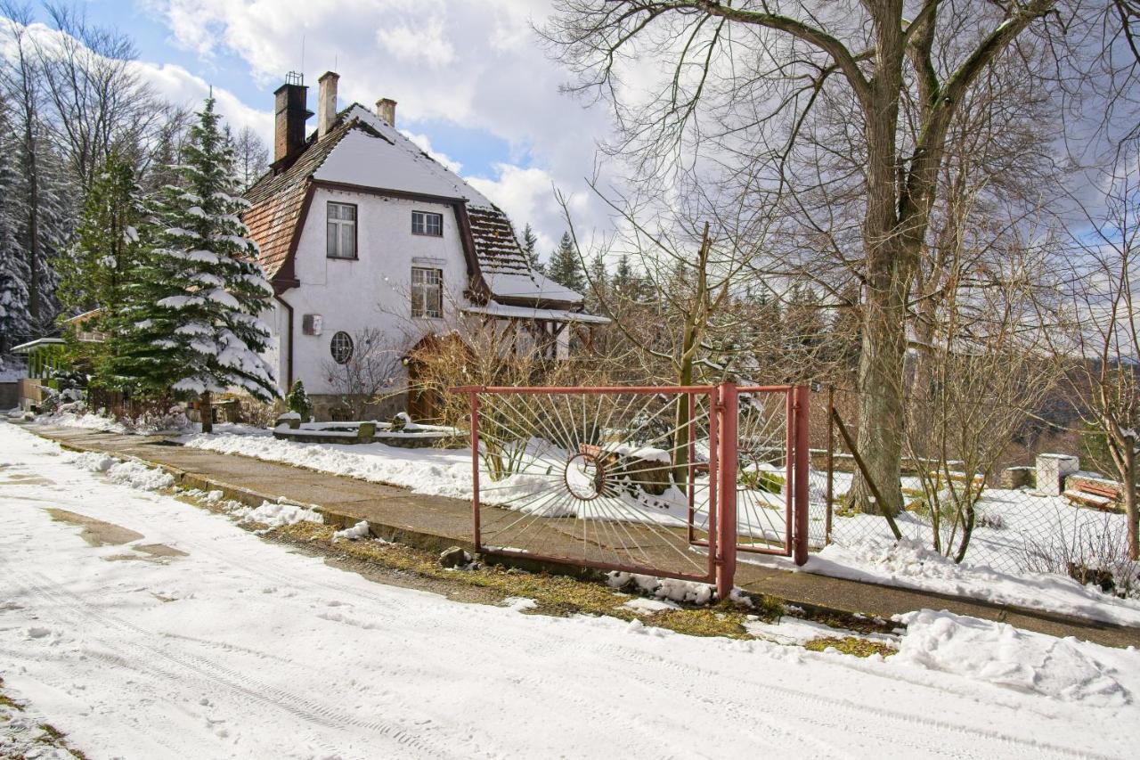 Willa "Sniezna Kopa"-Agroturystyka Pro Zdrowotna Vila Sosnówka Exterior foto