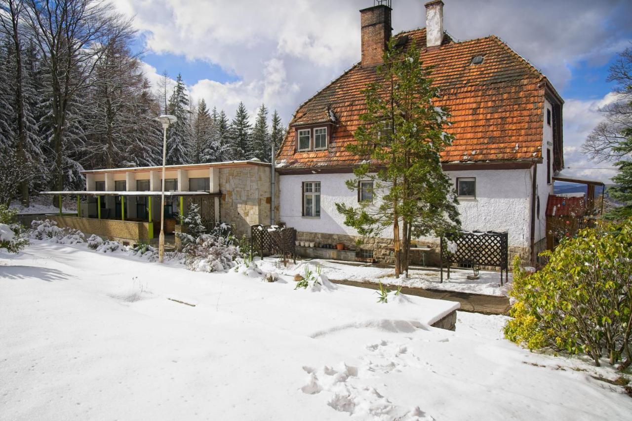Willa "Sniezna Kopa"-Agroturystyka Pro Zdrowotna Vila Sosnówka Exterior foto