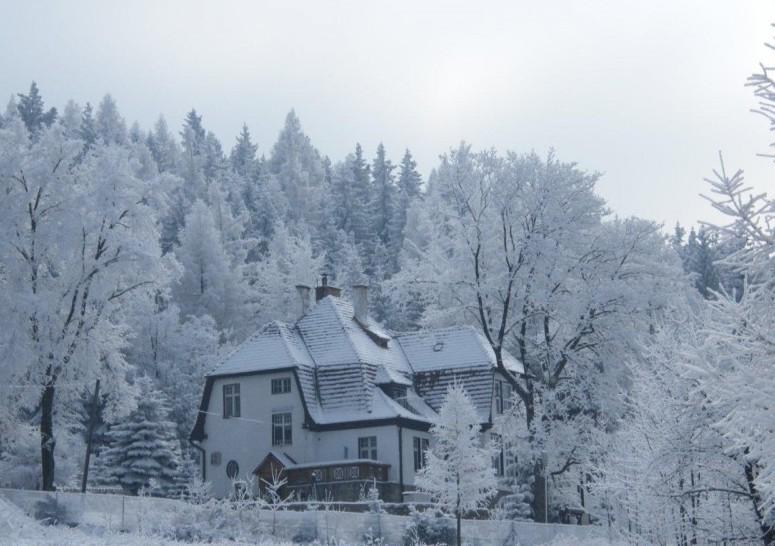 Willa "Sniezna Kopa"-Agroturystyka Pro Zdrowotna Vila Sosnówka Exterior foto